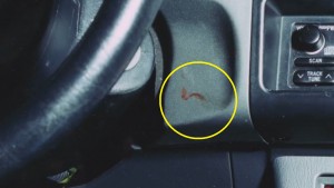 Forensic evidence of Avery's blood found in Halbach's vehicle