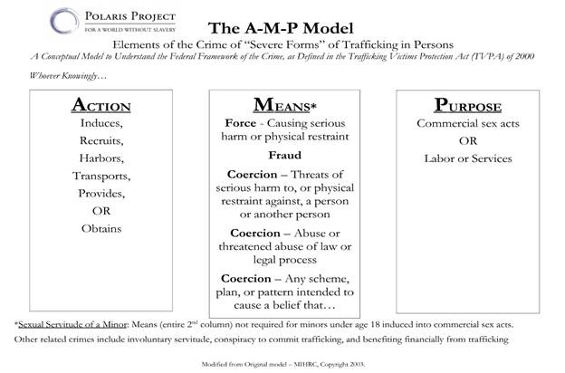 AMP Polaris Project Guide