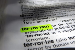 Dictionary definition of terrorism