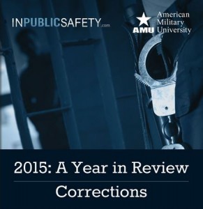 Year in Review_Corrections