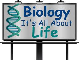 integrating-individual-field-trips-into-online-biology-courses