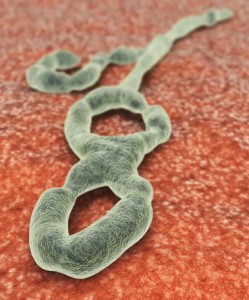 Ebola-CDC-containment