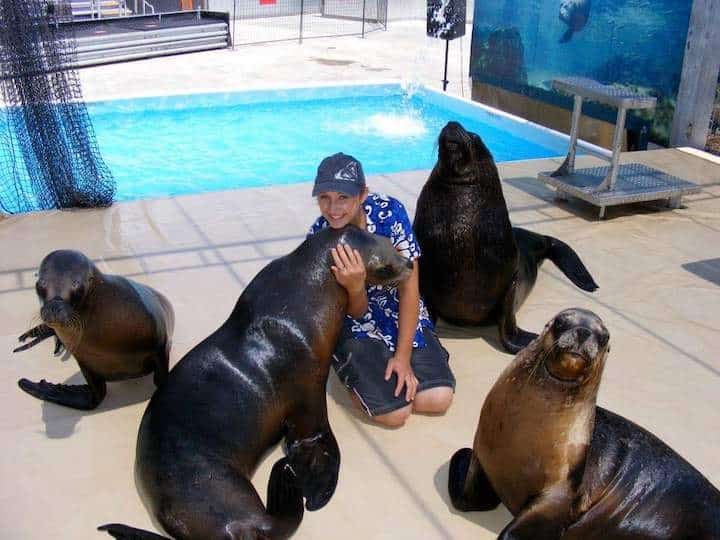Gala relaxing with sea lions juggling